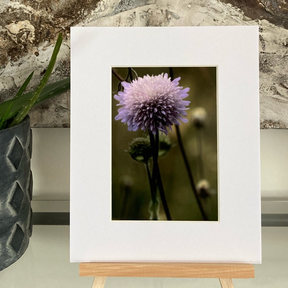 “TALL, DARK & HANDSOME” ~ ORIGINAL ART by ~ @lisamichellebeckerphotography